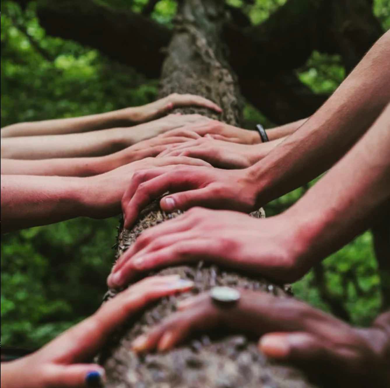 Integration Sessions